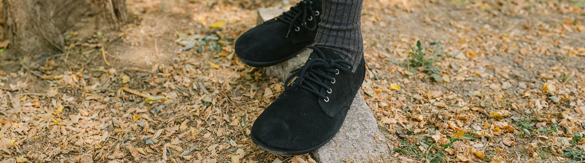 Derbies